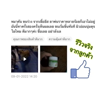 ดีโมครีม Democream ครีมทาผิวหนังสุนัข-แมว สัตว์เลี้ยง แก้ขนร่วง ช่วยปลูกขน ครีมทาผื่นคันหมาแมว ครีมทาผื่นหมาแมว