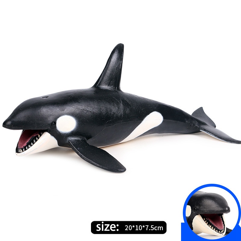 new}Sea Life Animals Killer Whale el Action Figures Pvc Figurines  Simulation els Toys 7MEh | Shopee Thailand