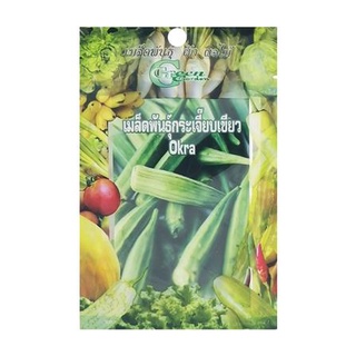 [พร้อมส่ง] HomeDoDee เมล็ดพันธุ์กระเจี๊ยบเขียว กรีน การ์เด้น เมล็ด เมล็ดพันธุ์ เมล็ดพันธุ์พืช