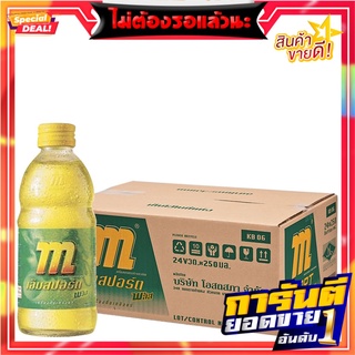 เอ็มสปอร์ต พลัส เครื่องดื่มเกลือแร่ 250 มล. แพ็ค 24 ขวด M-Electrolyte Plus 250 ml x 24