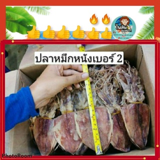 หมึกหนัง เบอร์ 2 เนื้อหวานนุ่มอร่อยสดใหม่สะอาดครึ่งโล