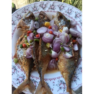 ปลาทูเค็ม สูตรโบราณจากนครศรีฯ อร่อยจนต้องขอข้าวเพิ่ม น้ำหนัก 500 กรัม (ฮาลาล)