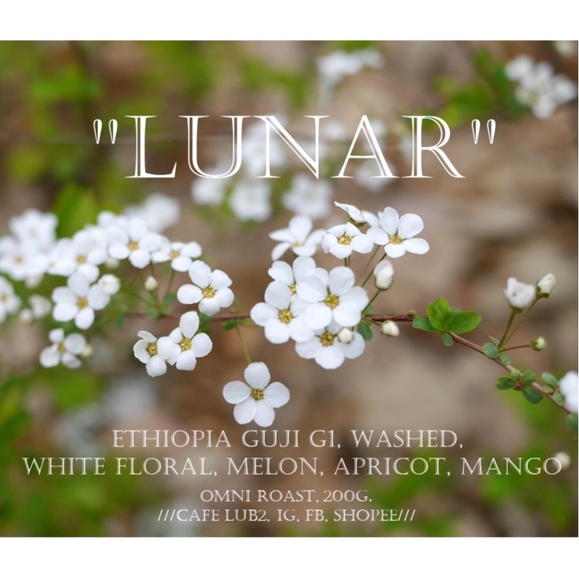 “LUNAR” - (Single origin) ETHIOPIA GUJI G1, Washed : White floral, Melon,Apricot (200g, Omni roast)