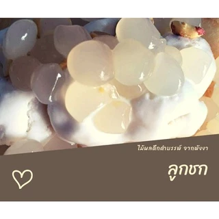 ลูกชก 🌴[เชื่อม|สด] 500กรัม🌴