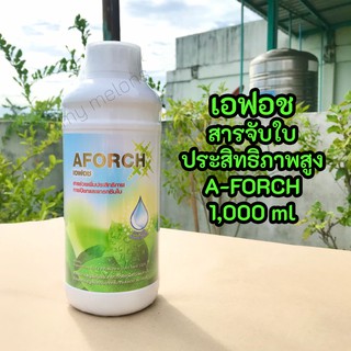 เอฟอช (A-FORCH) สารจับใบคุณภาพสูง 1,000ml ช่วยเพิ่มประสิทธิภาพการแทรกซึมใบ