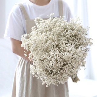 gypsophila ดอกไม้ผ้าไหมสําหรับตกแต่งบ้าน 72 ชิ้น