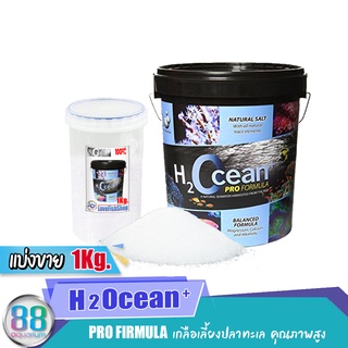 เกลือเลี้ยงปลาทะเล H2Ocean+ Pro Formula คุณภาพสูงจากยุโรป ขนาดแบ่งขาย1Kg.