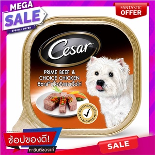 ซีซาร์พรามบีฟแอนด์ช้อยชิคเกนเฟลเวอร์100กรัม Caesar Beef &amp; Choice Chicken Flavor 100g.