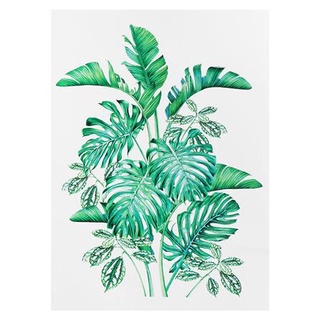 พร้อมส่ง สติ๊กเกอร์ลอกน้ำ DIY LIVING STYLE TROPICAL 34X47 ซม. แต่งผนัง sticker