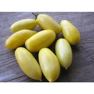 5 เมล็ด มะเขือเทศซอสเซจสีครีม - Cream Sausage Tomato