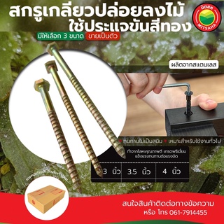 สกรู เกลียวปล่อย ลงไม้ สีทอง ขายเป็นตัว ขนาด 3,3.5,4 นิ้ว ใช้ประแจขัน SELF TAPPING SCREW งานไม้ สกรูเกลียวปล่อย มิตสห