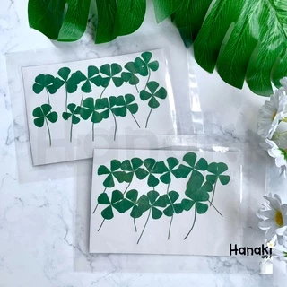 【พร้อมส่ง】ใบโคลเวอร์ (leaf clover) ใบไม้ทับแห้ง ใบไม้แห้ง ใบไม้จริงทับแห้ง