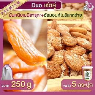 มันหนึบ เบนิฮารุกะ 250g + อัลมอนด์ โนริสาหร่าย 5 กระปุก มันหนึบญี่ปุ่น ถั่วอัลมอนด์ มันหวานญี่ปุ่น มันหวานญี่ปุ่น