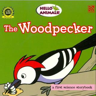 หนังสือภาษาอังกฤษเด็ก Hello Animals! The Woodpecker นิทานเด็ก Pelangithai