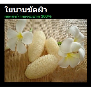 ใยบวบขัดผิว ผลิตภัณฑ์จากธรรมชาติ 100%