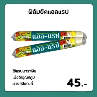 ฟิล์มยืดแอลแรป แรปห่ออาหาร แรปพาราฟิน ฟิล์มยืดหุ้มห่ออาหาร L-WRAP