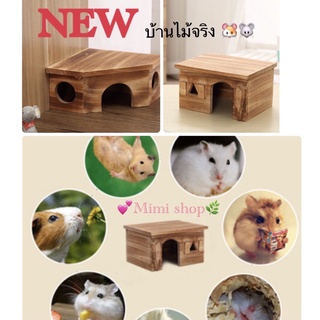 *พร้อมส่ง * บ้านไม้จริง สำหรับ แฮมสเตอร์ 💕🐹🐭💕