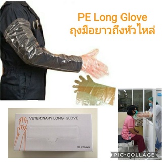 PE Long Glove ถุงมือพลาสติกยาว ถึงหั่วไหล่ ใช้แล้วทิ้ง Free size