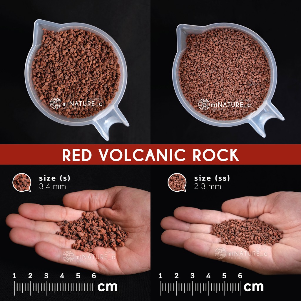 หินภูเขาไฟแดง (Red Volcanic Rock)