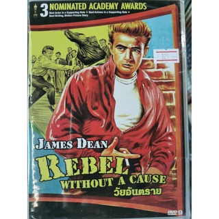 DVD : Rebel Without a Cause (1955) วัยอันตราย " James Dean, Natalie Wood "