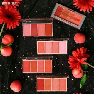 😍😍ADMIRATION PRO BLUSH MAKEUP  : HF5022😍😍