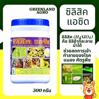 THAIGREENAGRO SILISIC ซิลิสิค แร่ธาตุซิลิก้าที่สกัดจากหินแร่ภูเขาไฟ ช่วยเพิ่มความแข็งแกร่งให้แก่ผนังเซลล์ ปุ๋ยบำรุงดิน