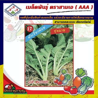 AAA 🇹🇭 ผักซอง A017# ผักเขียวน้อย ใบใหญ่ ชุนฉ่าย เมล็ดพันธุ์ เมล็ดพันธุ์ผัก เมล็ดพันธุ์ ผักสวนครัว ตราAAA สามเอ