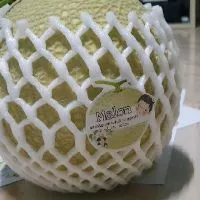 โฟมห่อผลไม้ S10 : S12 : S15 : S17 : L20 : L24 L30 สินค้า100ชิ้น/แพคครับ , ห่อกุหลาบ , ห่อสตอเบอรี่ แบบชั่งขีด
