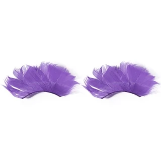 ขนตาปลอม หลากสี ขนตาขนนก ขนตาแฟนซี พรอพปาร์ตี้ 1 Pair Natural Feather False Eyelashes Party Nightclub Makeup Eye Lash