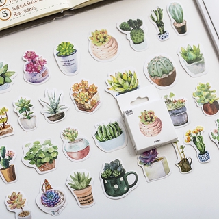 สติกเกอร์ ลายพืชอวบน้ํา สีเขียว สําหรับตกแต่งสมุดภาพ เครื่องเขียน 50 แผ่น