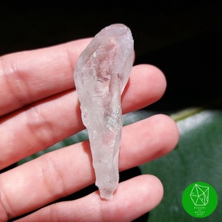 ผลึกพราซิโอไลต์หรือกรีนอเมทิสต์ (Prasiolite/Green Amethyst)