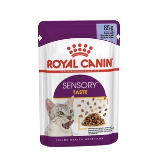 Royal Canin SENSORY TASTE Pouch Yelly (85gx12ซอง) อาหารเปียกแมวโตช่างเลือก กระตุ้นการกิน