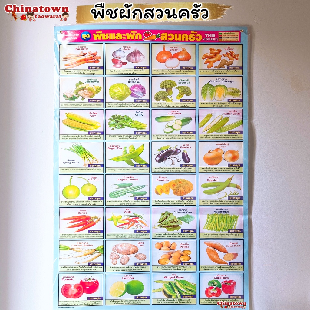 โปสเตอร์🧧พืชผักสวนครัว ✅ พืชผัก กขค ก.ไก่ ก-ฮ เสริมพัฒนาการ เตรียมอนุบาล อนุบาล นิทานอีสป นิทาน บวกลบเลข poster