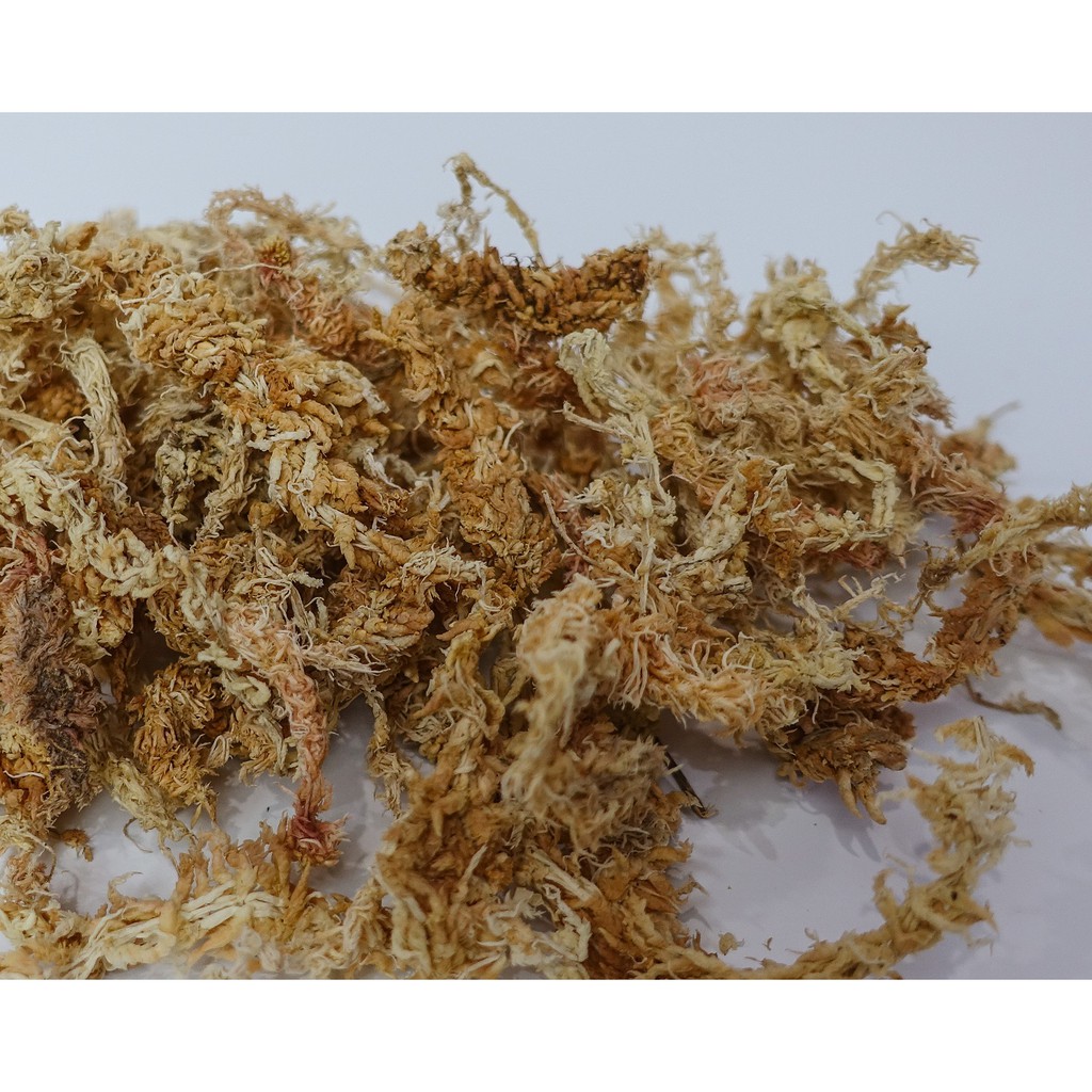 Spagmoss Sphagnum Moss New Zealand สแฟกนั่มมอส นำเข้าจากนิวซีแลนด์ - รูปที่ 6