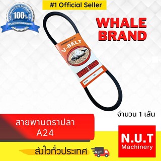 สายพาน A24 ตราปลา V-BELT ร่อง A ร่องเรียบ