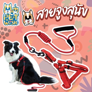 🐶Pet Wish🐱 สายจูงหมา สายจูงแมว สายจูงสุนัข แข็งแรง คุณภาพดี เฃต3 3สี