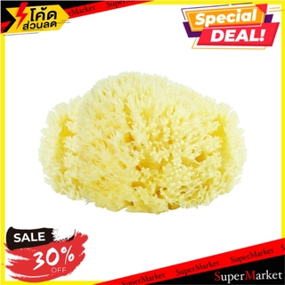🔥The Best!! ฟองน้ำธรรมชาติ เบอร์ 12 BABY’S BEZT ผลิตภัณฑ์เพื่อสุขอนามัย NATURAL SPONGE BABY’S BEZT NO.12