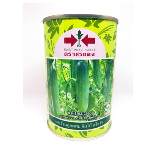 แตงร้าน จัมโบ้กรีน F1 🥒 100 กรัมเมล็ดพันธุ์แตงร้าน