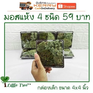มอสแห้งกล่องเล็ก บรรจุ 4 ชนิด ขนาดและปริมาณของสินค้าตามที่ระบุไว้ อ่านก่อนสั่งซื้อ