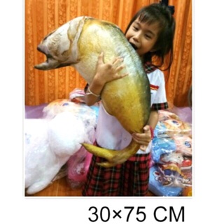 ปลาทู ขนาด 70-80 ซม.🐟