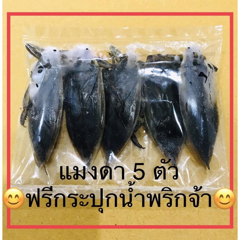 5 ตัว แมงดา แมงดานาตัวผู้ แมงดาผู้ กลิ่น หอม ฉุน ทำน้ำพริก