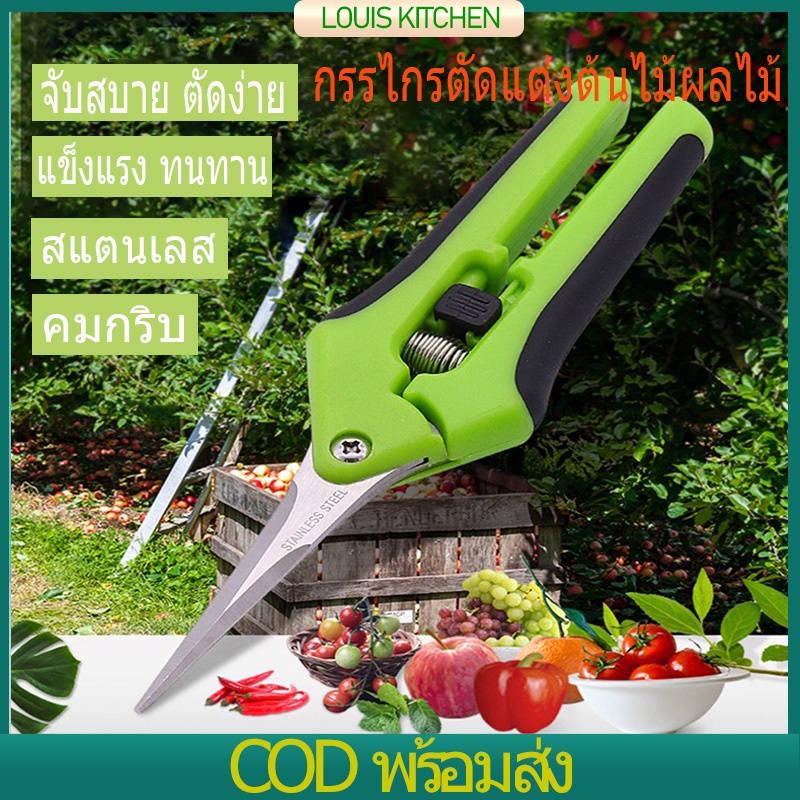กรรไกรตัดกิ่งปากแหลม กรรไกรตัดกิ่งไม้ใหญ่ กันไกรตัดกิ่งไม้ มีดตอนกิ่งไม้