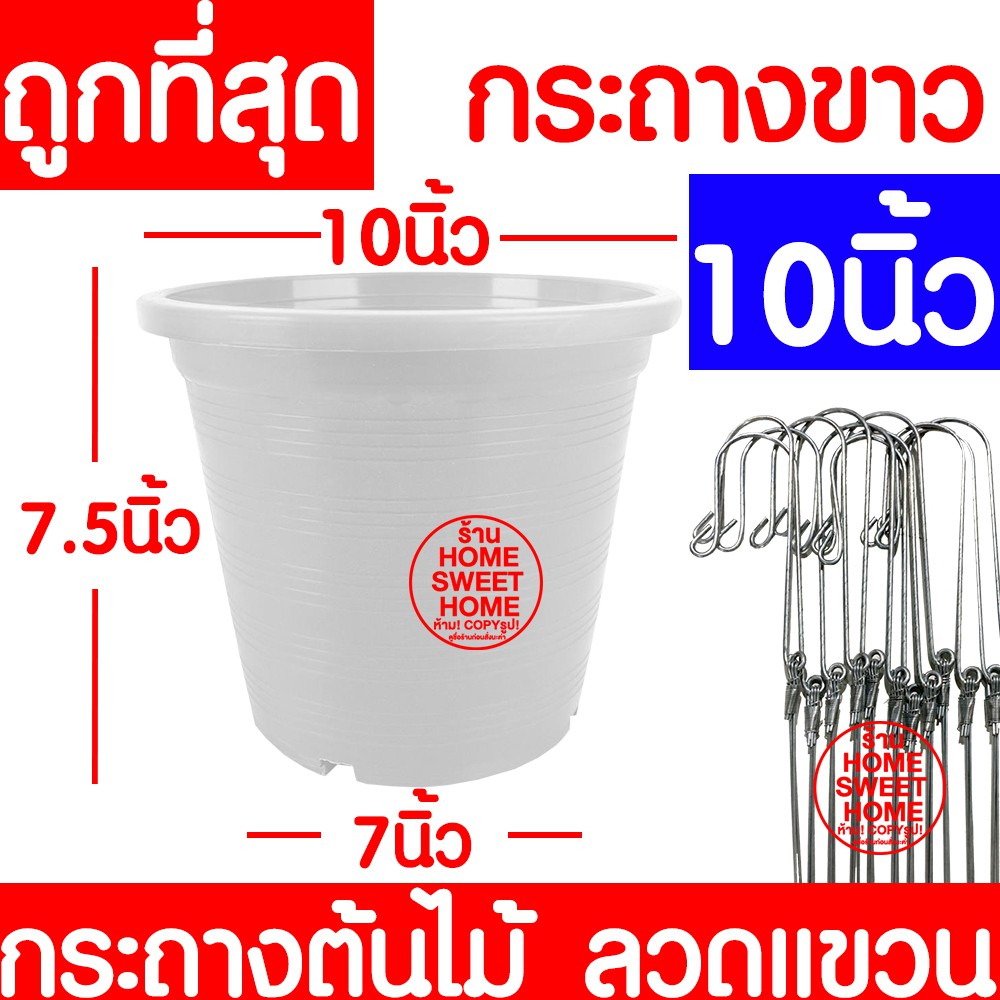 กระถางเพาะชำ 10 นิ้ว กระถางต้นไม้ ปลูกต้นไม้ ลวดแขวนกระถาง ลวดแขวน ฟองน้ำ เพาะปลูก กล้วยไม้ ราคาโรงงาน