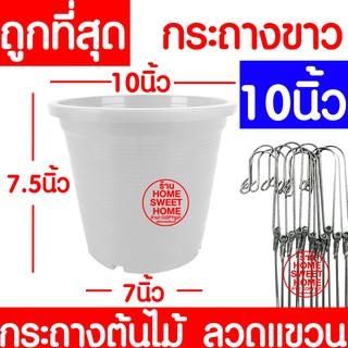 กระถางเพาะชำ 10นิ้ว กระถางขาว กระถางต้นไม้ กระถางปลูกต้นไม้ ลวดแขวนกระถาง ลวดแขวนต้นไม้ กระถาง เพาะปลูก ต้นไม้