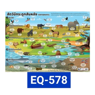 สัตว์มีกระดูกสันหลัง EQ 578 โปสเตอร์กระดาษ หุ้มพลาสติก 50*70 cm