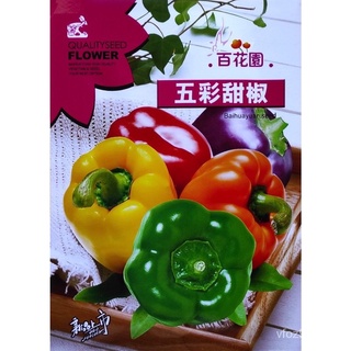 ผู้ผลิตเมล็ดพันธุ์/เมล็ด พริกหวาน คละสี Mix Bell Pepper บรรจุ 100 เมล็ด  สายพันธุ์ OP พริก/ขายดี พันธุ์ อินทรีย์ TDC1