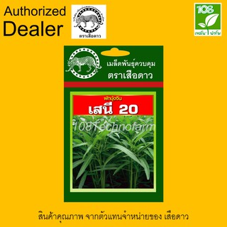 เมล็ดพันธุ์ ผักบุ้งจีน เสนี20 ตราเสือดาว