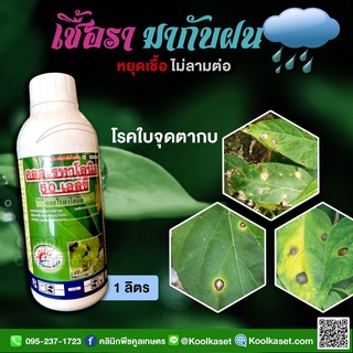 โรคพืช คลอโรทาโรนิล 50% SC 1 ลิตร สารป้องกันกำจัดเชื้อรา ข้าวใบไหม้ ใบด่างราน้ำคาง ใบจุด ราแป้ง คูลเกษตร KF1