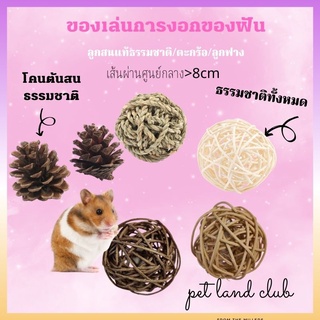 [petlandclub]ของเล่นกระต่าย วัสดุไม้ ใช้ในการออกกำลังกาย ลับฟัน สำหรับกระต่าย/หนูแฮมสเตอร์