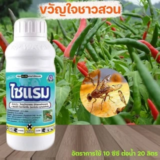 ไซแรม (1ลิตร )ไทอะมีทอกแซม+ แลมป์ดา-ไซฮาโลทริน เพลี้ยไฟ เพลี้ยแป้ง เพลี้ยจักจั่น หนอน แมลงค่อมทอง มวลต่างๆ